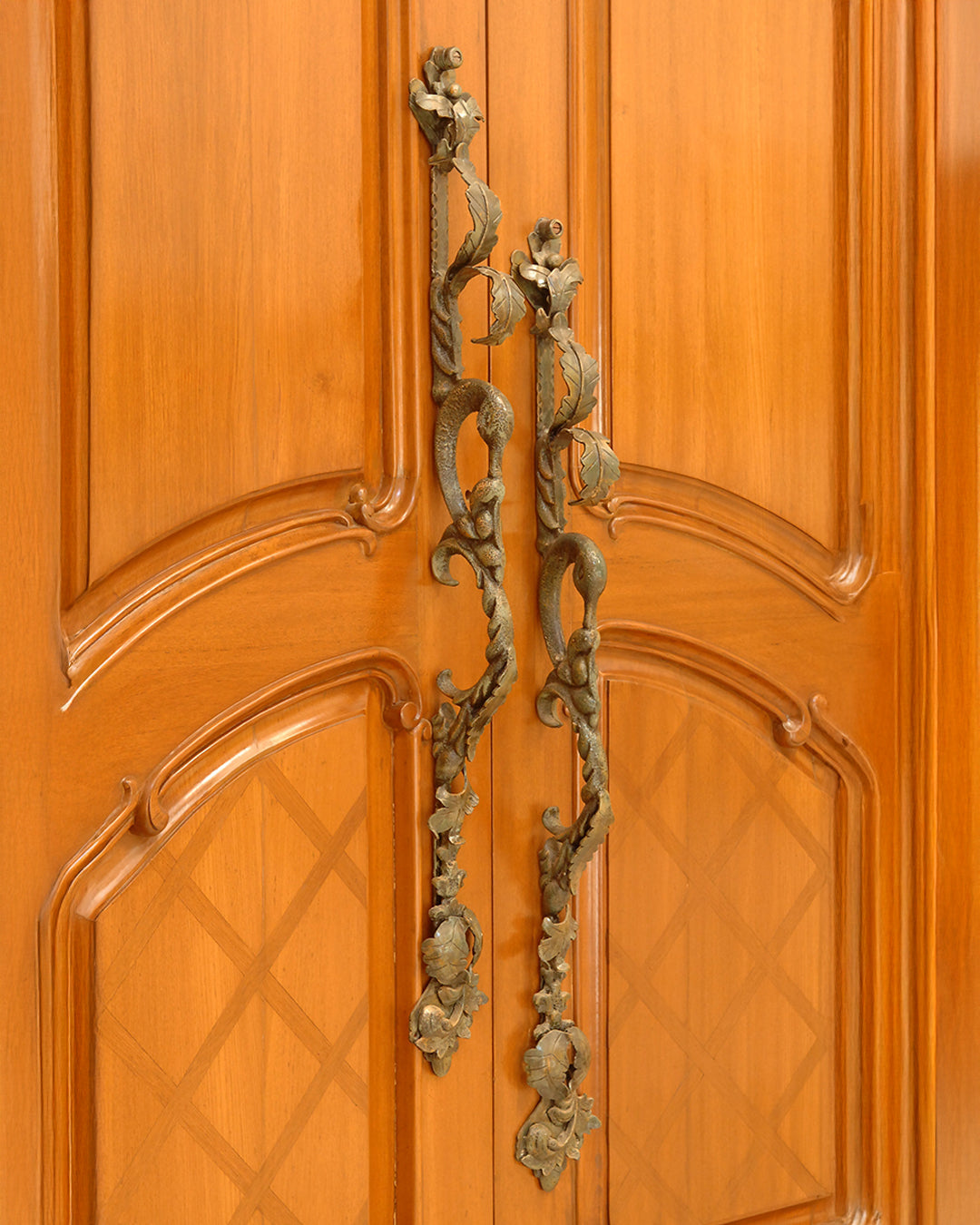 Swan Lake Door Handle