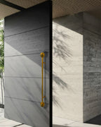 Pendulum Door Handle